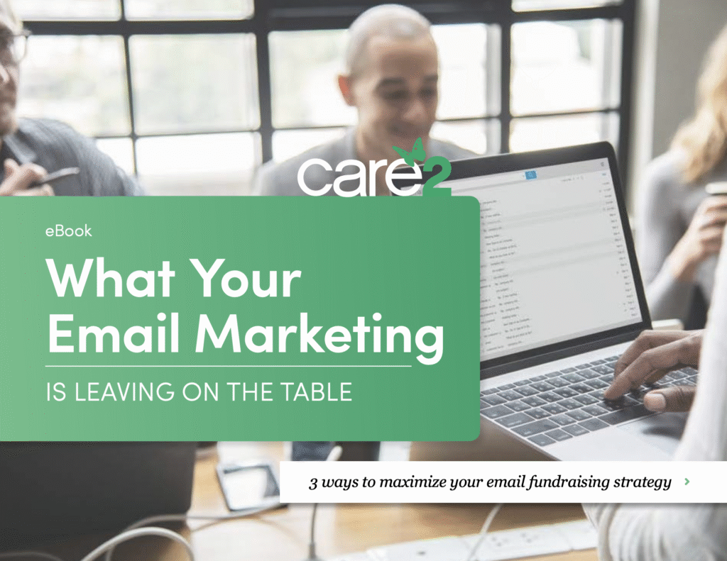 What your email marketing is leaving on the table
