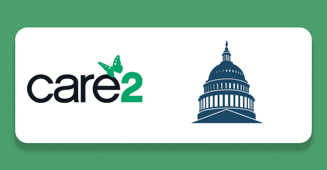 EPA public comments case study