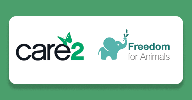 Care2 and Freedom for Animals Case Study