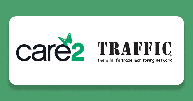 Care2 and TRAFFIC case study
